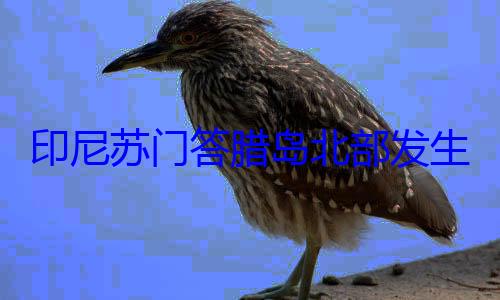 印尼苏门答地震 震源腊岛北部发米生57级深度10千